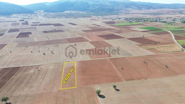 Konya / Akören / Karahüyük Mahallesinde 4.020 M² Müstakil Tarla 2