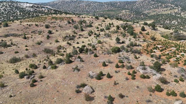 Konya / Hadim / Aşağıeşenler Mahallesinde 492 M² Müstakil Tapulu Bağ 3