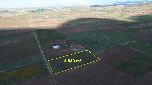 Akören Tülce De 4.530 M2 Müstakil Tapulu Tarla 2