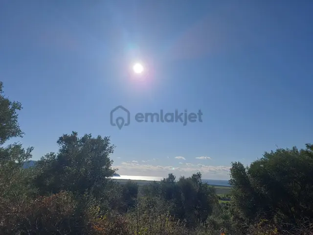 Ortaca Fevziye De Full Deniz Manzaralı 19 500 M2 Yatırıma Uygun Arazi Satılık 3