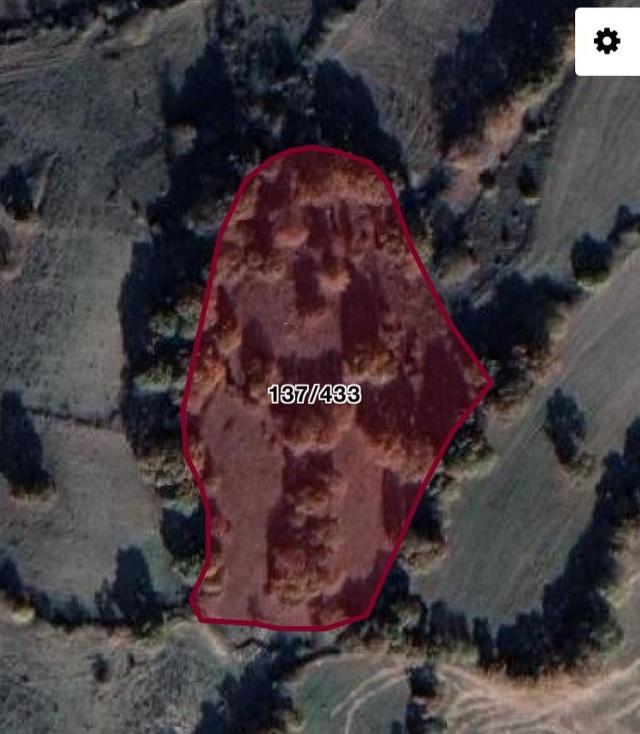 Balıkesir Karesi Toybelen'de 7600 M2 Yatırımlık Fırsat Tarla 3