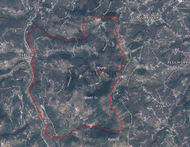 Remax Anı 'dan Trabzon Akçaabat 'da Satılık Tarla 5