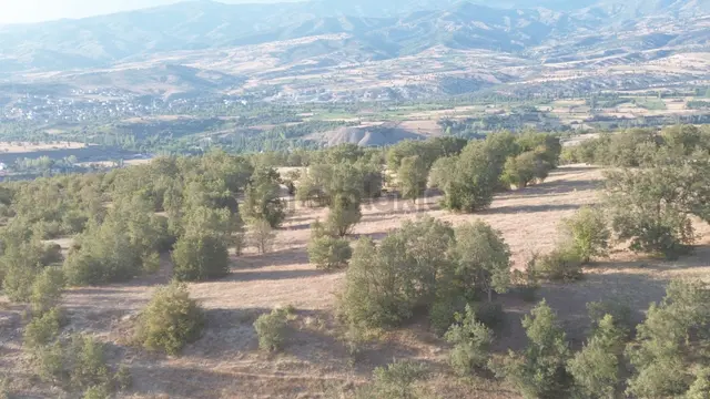 Amasya / Hamamözü / Damladere De 1.435 M² Müstakil Tarla 4