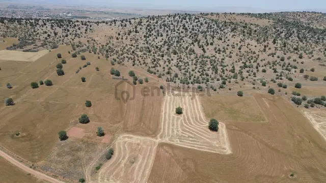 Konya / Akören / Hacılar Mahallesinde 2.875 M² Müstakil Tapulu Tarla 4