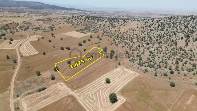 Konya / Akören / Hacılar Mahallesinde 2.875 M² Müstakil Tapulu Tarla 1