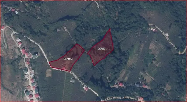 Kamer'den Trabzon,akçaabat,akçaköy Esentepe'de Satılık 7 Dönüm Hisse (açıklamayı Okuyunuz) 2