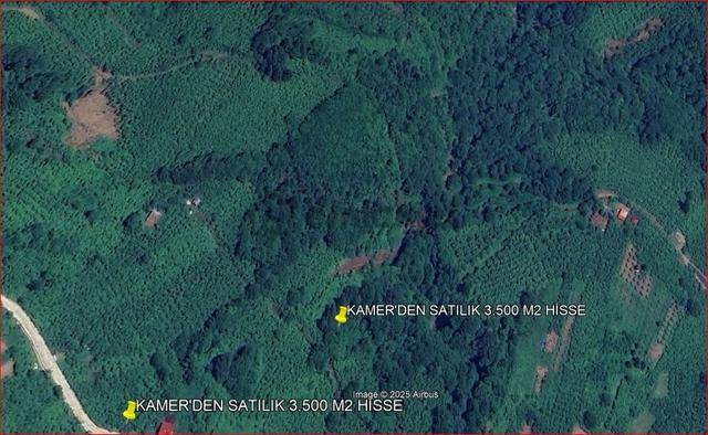Kamer'den Trabzon,akçaabat,akçaköy Esentepe'de Satılık 7 Dönüm Hisse (açıklamayı Okuyunuz) 4