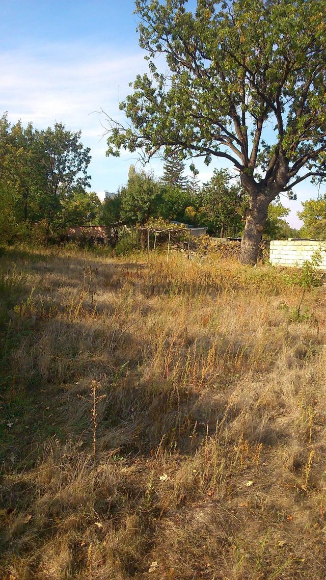 Müstakil Tapulu 1972 M2 Arsa (tam Yatırımlık Mülk) 4