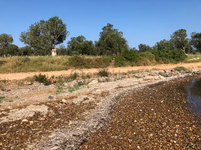 Ayvalık Cunda Da Satılık 21,000 Metre Kare Arsa.denize Sıfır 4