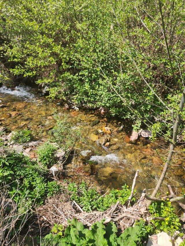 Balıkesir Bigadiç'te 1.099 M2 Köye Yakın Göl Manzaralı Arazi ! 5