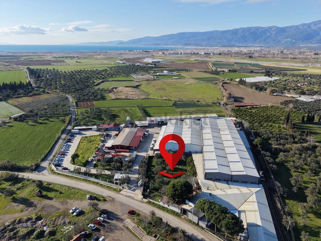 Mera Emlaktan Çıkrıkçı Mevki İmara Sınır 1.938m2 Evi Olan Tarla 1