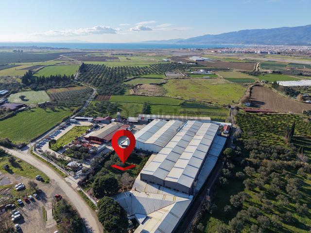 Mera Emlaktan Çıkrıkçı Mevki İmara Sınır 1.938m2 Evi Olan Tarla 4
