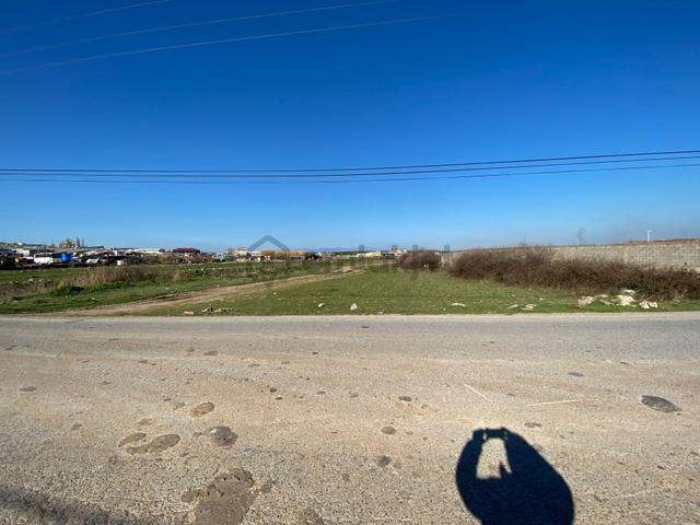 Balıkesir Ayvalık Ta Satılık 46.000 Metre Kare Arsa. 4