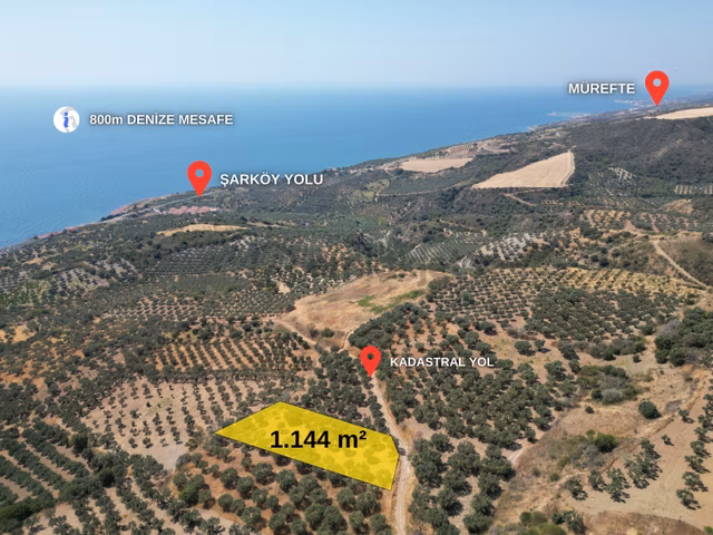 Torunlar Emlaktan Satılık Deniz Manzaralı Yatırımlık Zeytinlik 1