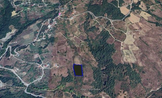 Sakarya Geyvede Satılık Tarla Tarım Ve Yatırıma Uygun 3
