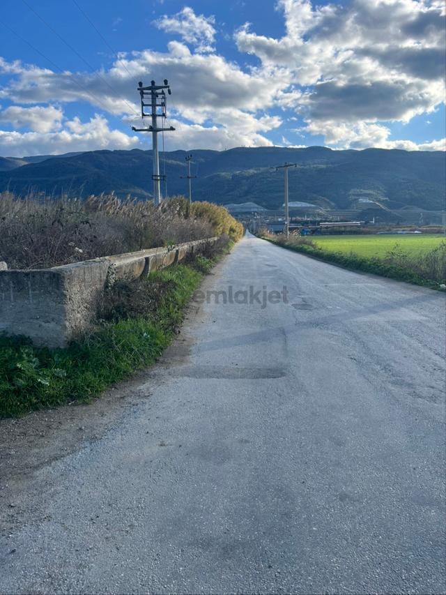 Miray Emlaktan Hamzallı Pirlibey Yolu Üzerinde Satılık Tarla 3