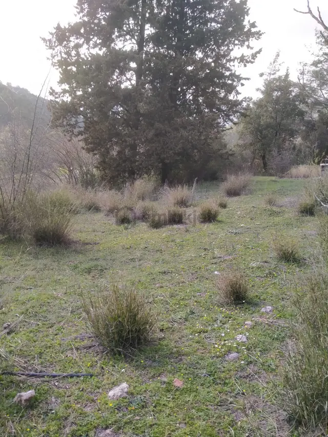 Klas Emlak'tan Karacören Mahallesinde Satılık Arazi 566 M² 3