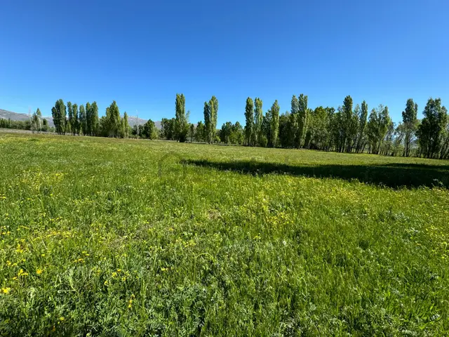 Bayburt Aydıntepe'de Satılık Arazi 5