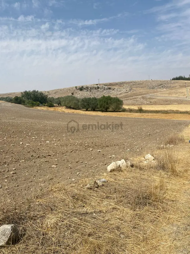 Araç Takaslı Gölbaşı Koparan'da 293 M2 Satılık Arsa Pala Emlak 3