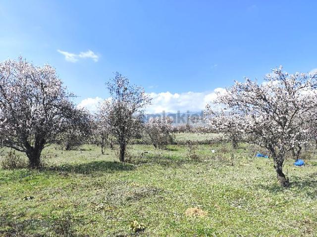 Isparta Senirkent 1800 M2 4
