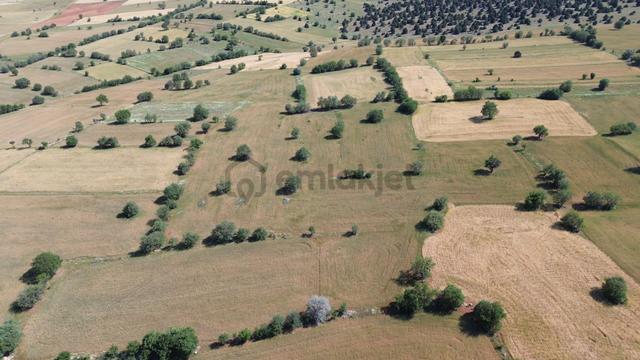 3380 M² Tarla / Karahüyük / Akören / Konya 5