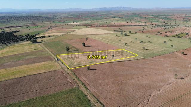 Konya / Akören / Alan Mahallesinde 8.519 M² Müstakil Tapulu Tarla 3
