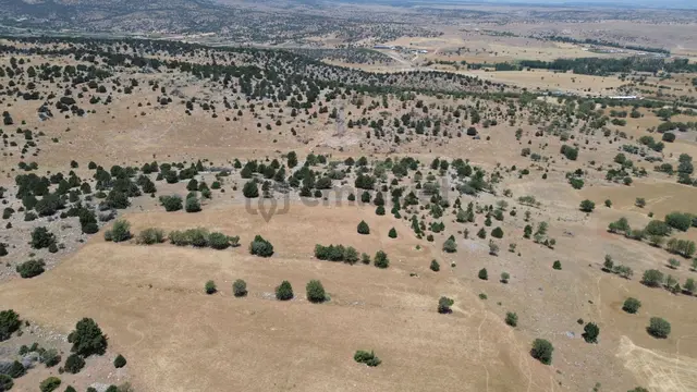 Akören Ağalar Da 3.800 M2 Müstakil Tapulu Tarla 4