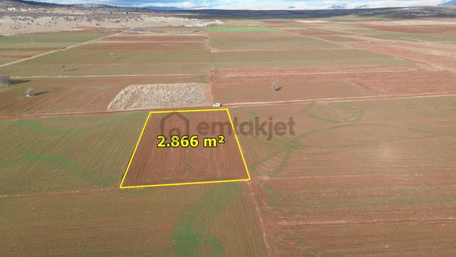 Konya / Akören / Hacılar Mahallesinde 2.866 M² Müstakil Tapulu Tarla 1