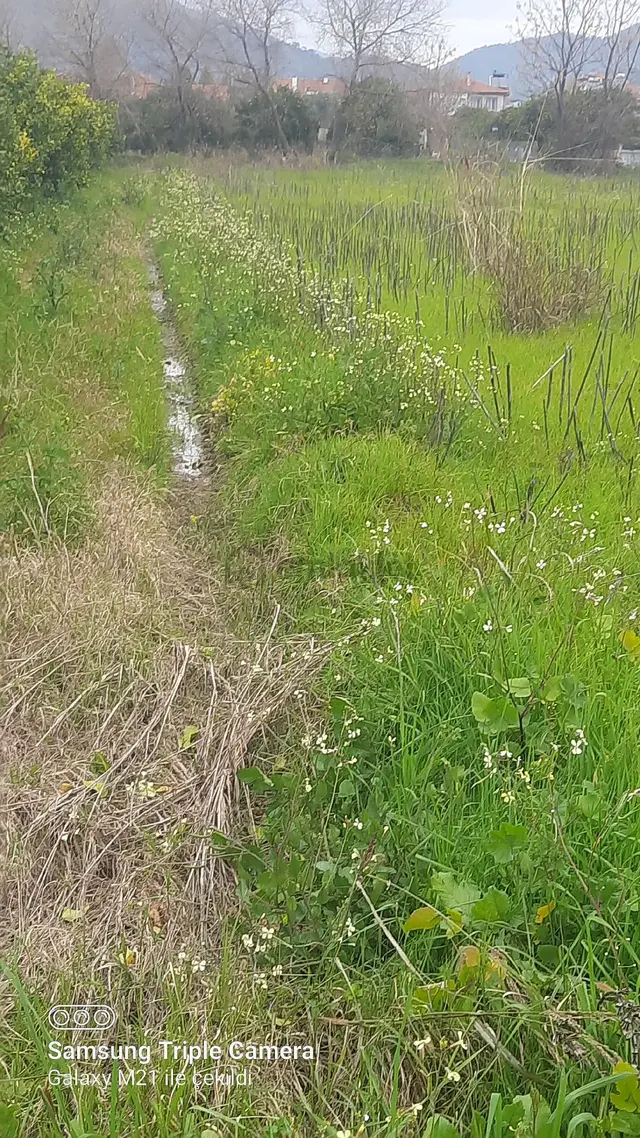 Dikmekavakta 3490 M2 %10 İmarlı Arsa 5