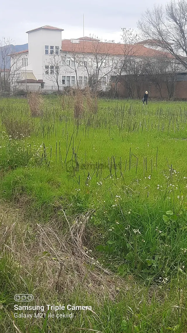 Dikmekavakta 3490 M2 %10 İmarlı Arsa 2