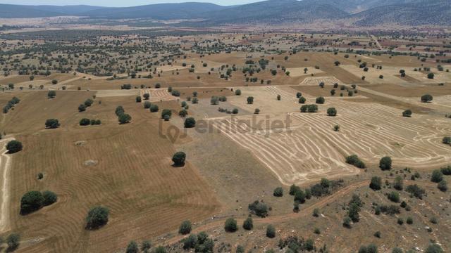 Akören Hacılar Da 10.342 M2 Müstakil Tapulu Tarla 3