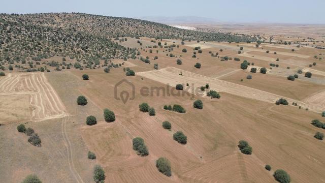 Akören Hacılar Da 4.297 M2 Müstakil Tapulu Tarla 3