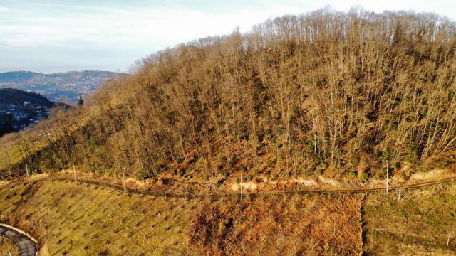 Trabzon'da Satılık 4 Dönüm Arazi 4