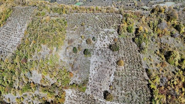 Ruşen Aydın Gayrimenkul'den Kaynaşlı Tavak Köyünde Satılık Arazi 4