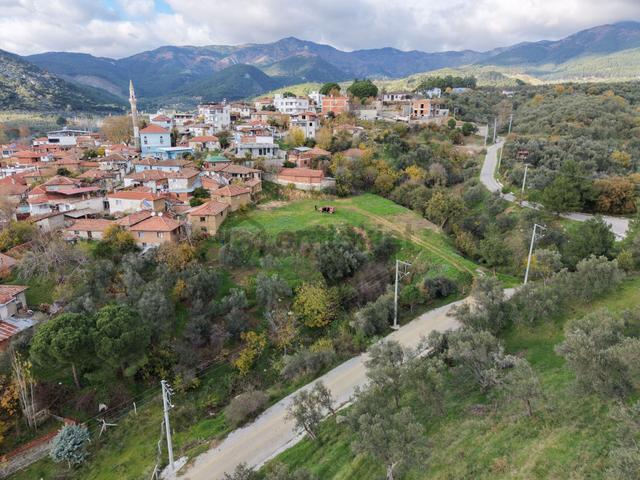 Mera Emlak'tan Dereli Köyünde 50 Dairelik 2.560m2 İmarlı Arsa 4