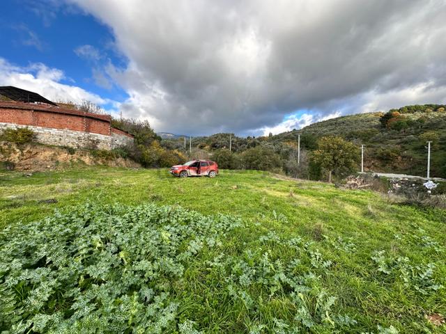 Mera Emlak'tan Dereli Köyünde 50 Dairelik 2.560m2 İmarlı Arsa 5