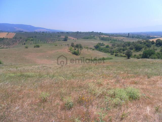 Satılık Arsa 5