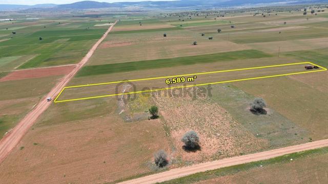 Akören Hacılar Da 6.589 M2 Müstakil Tapulu Tarla 5