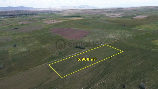 Akören Tülce De 5.989 M2 Müstakil Tapulu Tarla 2