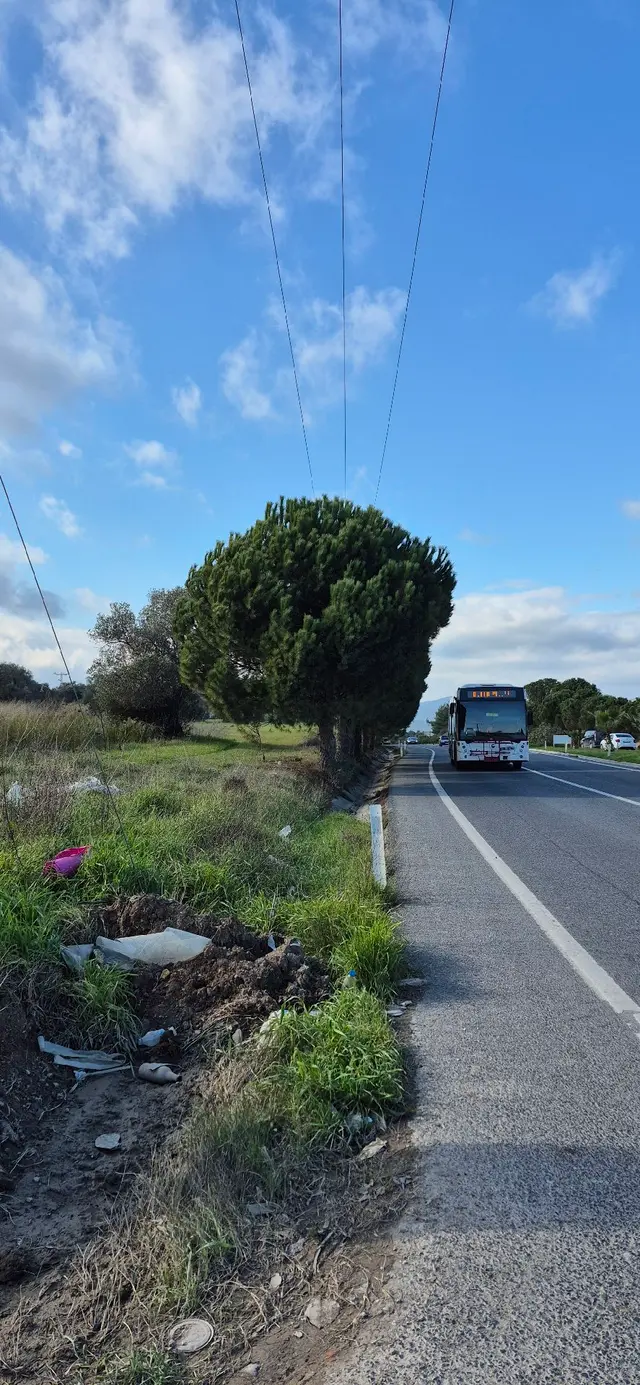 Urla Altıntaş Mah.tarla 3