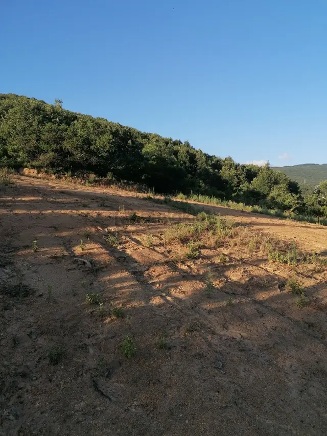 Acil Sahibinden Satılık Arsa 3