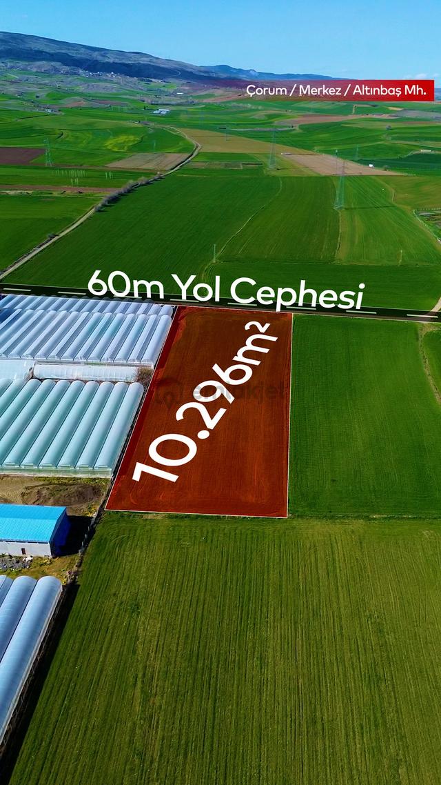 Truva'dan Çorum Altınbaş Köyü'nde 10296 M2 Sera Olabilecek Tarla 3