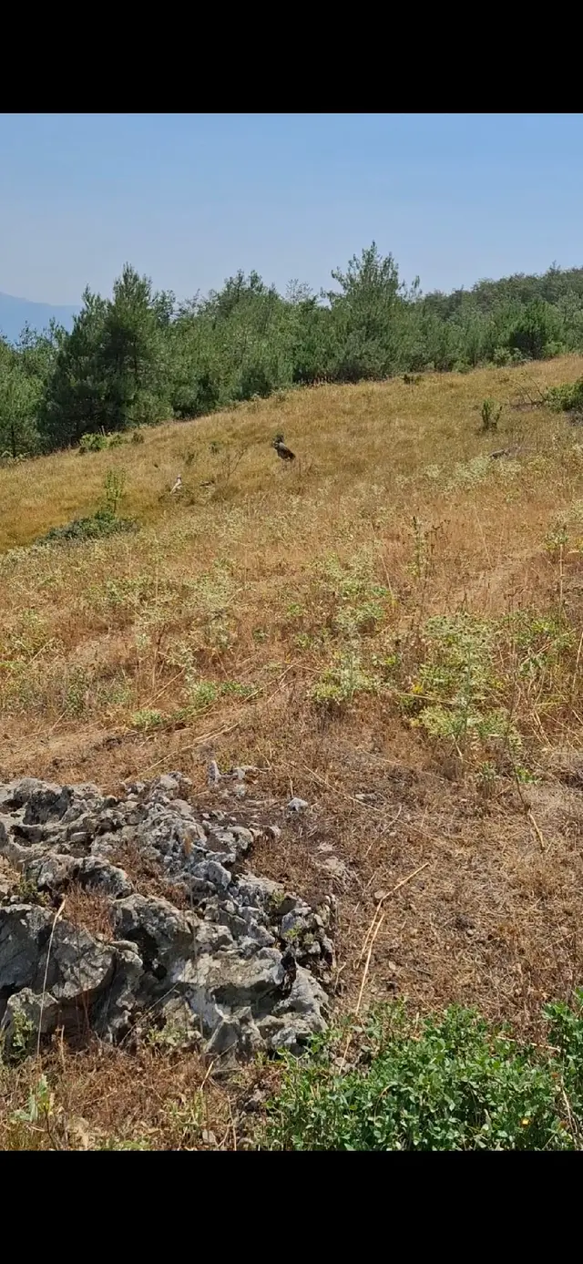 Kaçırılmayacak Yatırım Fırsatı Sahibinden 4.407 M2 Tarla 2