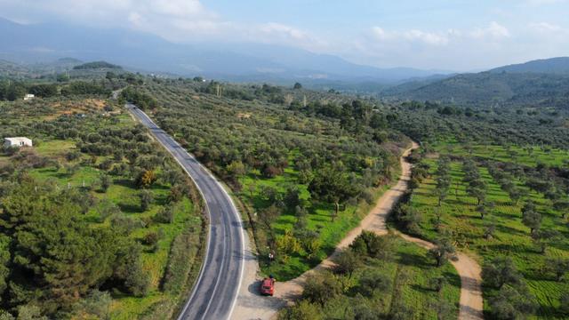 Mera Emlaktan Çamcı Mh Asfalt Cepheli 7.700m2 Müstakil Zeytinlik 4