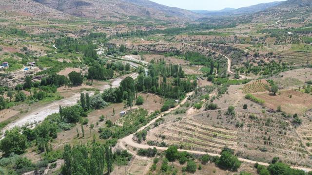 Konya / Hadim / Yelmez Mahallesinde 2.783 M² Müstakil Tapulu Tarla 3