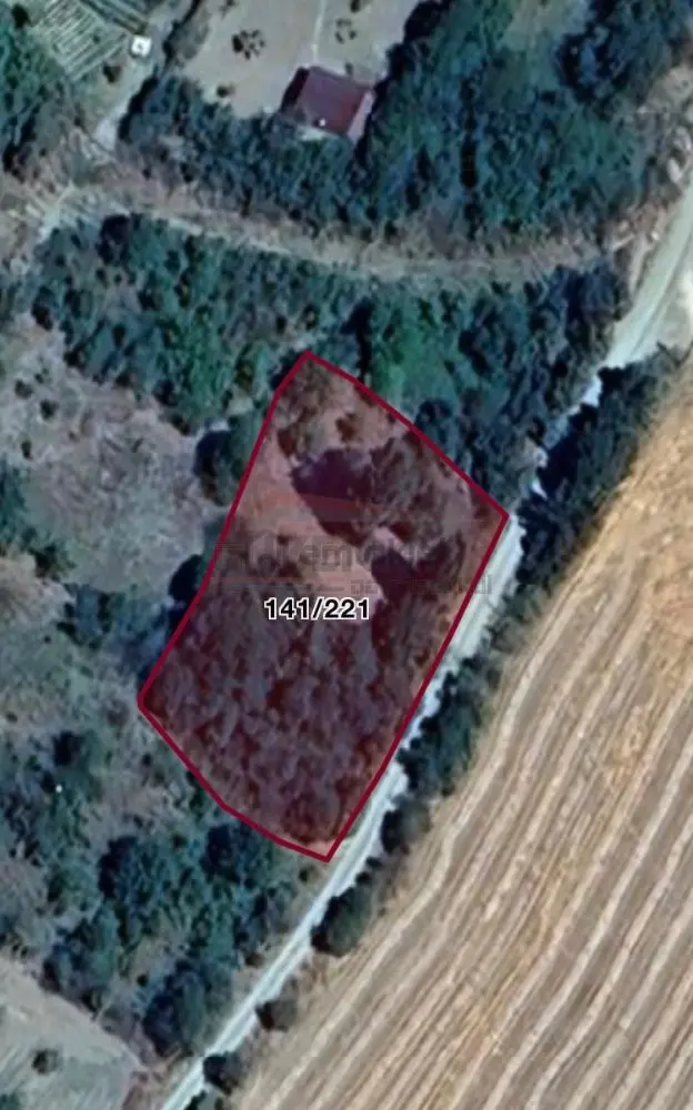 Güvenay - Çorum Boyralı Bağlarında 1526 M2 Satılık Bağ 3