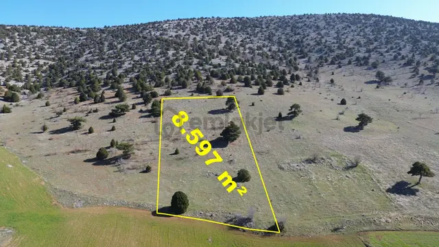 Konya / Ilgın / Gökçeyurt-özlem Mahallesinde 8.597 M² Müstakil Tapulu Tarla 3