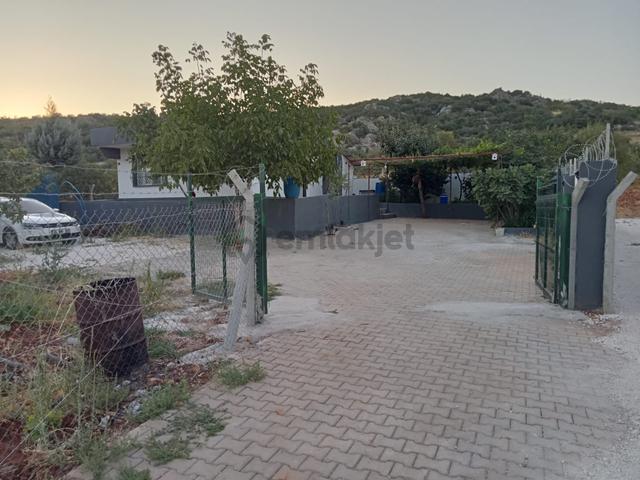 Millioğlu İnşaat'tan Yeşilce'de Satılık Bağ Evi 4