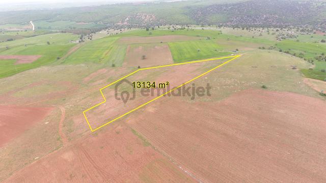 Konya / Derbent / Saraypınar Mahallesinde 13.134 M² Müstakil Tapulu Tarla 5