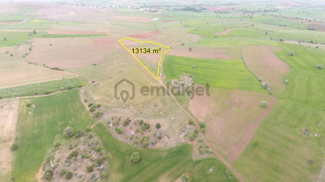 Konya / Derbent / Saraypınar Mahallesinde 13.134 M² Müstakil Tapulu Tarla 4